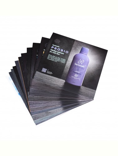 DE Flyers MIX 13 pcs: (Deutsch)